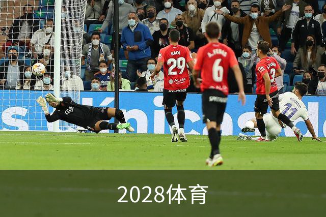 2028体育